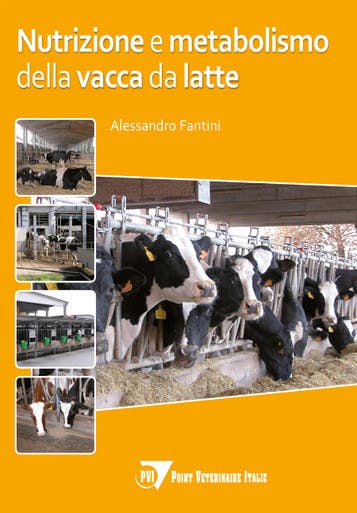 Immagine copertina Nutrizione e metabolismo della vacca da latte