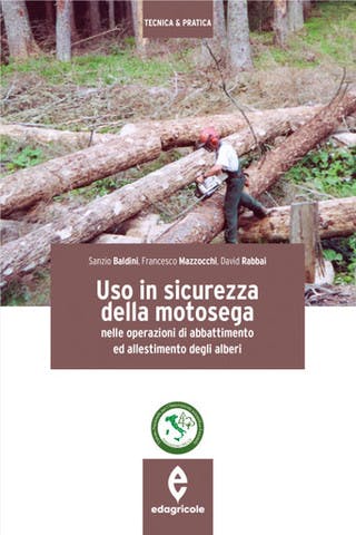 Immagine copertina Uso in sicurezza della motosega nelle operazioni di abbattimento ed allestimento degli alberi