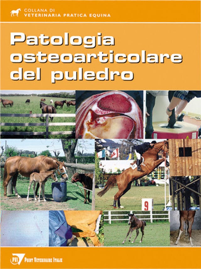 Patologia osteoarticolare del puledro