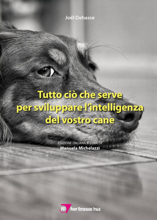 Tutto ciò che serve per sviluppare l’intelligenza del vostro cane