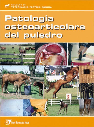 Immagine copertina Patologia osteoarticolare del puledro