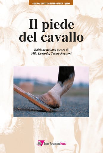 Immagine copertina Il piede del cavallo