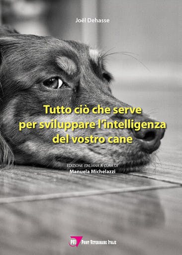 Immagine copertina Tutto ciò che serve per sviluppare l’intelligenza del vostro cane