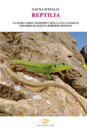 Immagine copertina Fauna d'Italia Vol. XLV - Reptilia