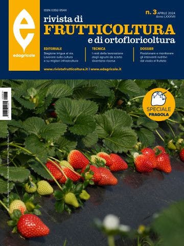 Immagine copertina Rivista di Frutticoltura e di Ortofloricoltura