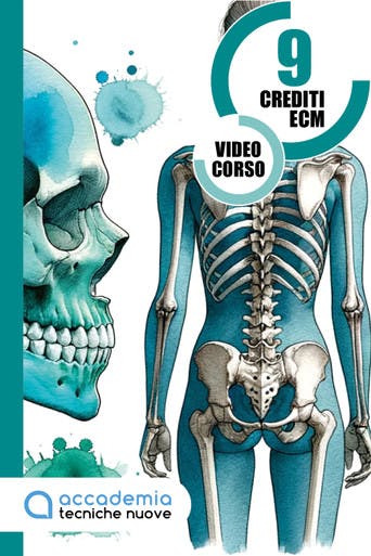 Immagine copertina Relazione tra occlusione e postura