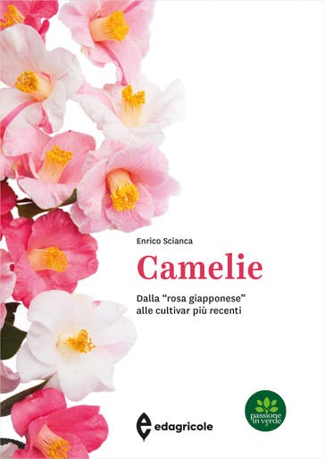 Immagine copertina Camelie