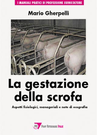 Immagine copertina La Gestazione della Scrofa