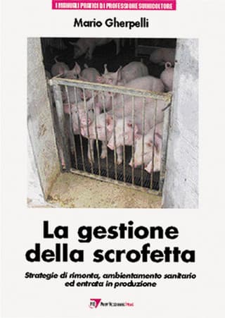 Immagine copertina La Gestione della Scrofetta