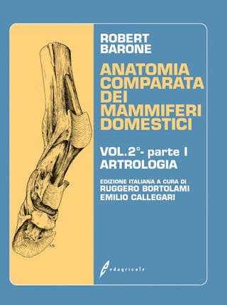 Immagine copertina Anatomia comparata dei mammiferi domestici - Volume 2 - Parte prima