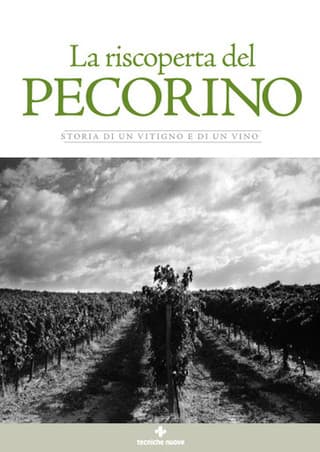 Immagine copertina La riscoperta del Pecorino