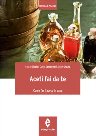Immagine copertina Aceti fai da te