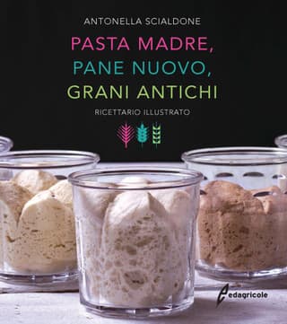 Immagine copertina Pasta madre, pane nuovo, grani antichi