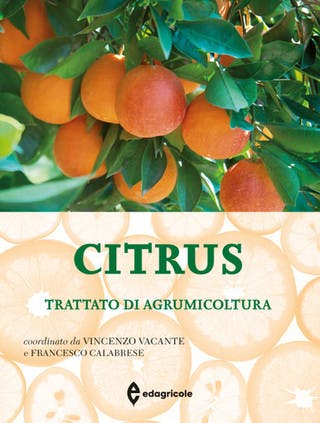 Immagine copertina Citrus