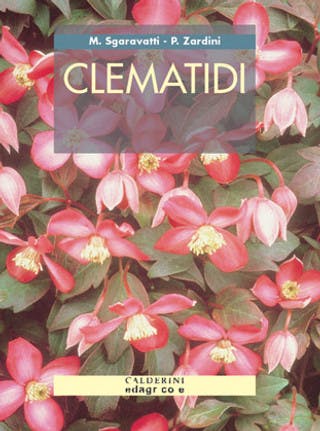 Immagine copertina Clematidi