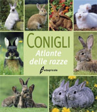 Immagine copertina Conigli