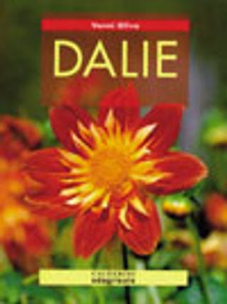 Immagine copertina Dalie