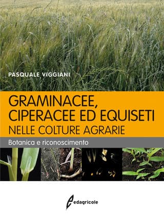 Immagine copertina Graminacee, ciperacee ed equiseti nelle colture agrarie