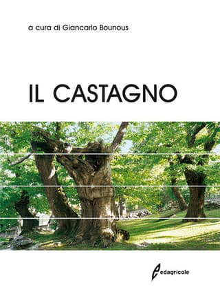 Immagine copertina Il castagno