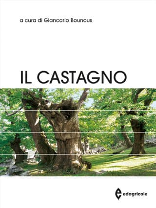 Immagine copertina Il castagno