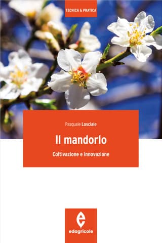 Immagine copertina Il mandorlo