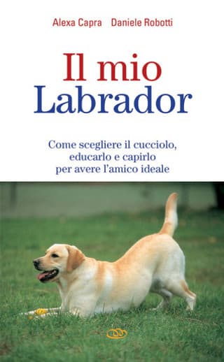 Immagine copertina Il mio labrador