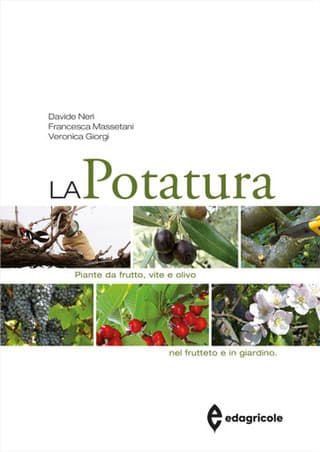 Immagine copertina La potatura