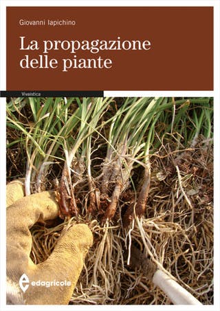 Immagine copertina La propagazione delle piante
