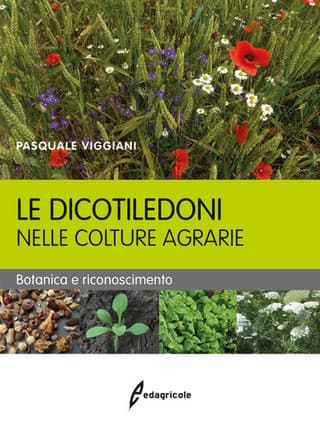 Immagine copertina Le dicotiledoni nelle colture agrarie 1° edizione