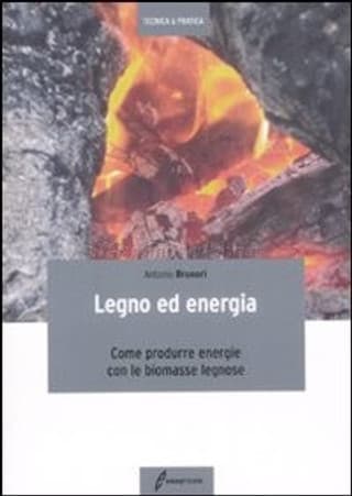 Immagine copertina Legno ed energia