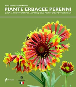 Immagine copertina Piante erbacee perenni