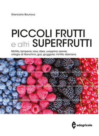 Immagine copertina Piccoli frutti e altri superfrutti