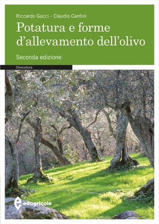Immagine copertina Potatura e forme d'allevamento dell’olivo