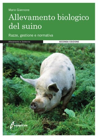 Immagine copertina Allevamento biologico del suino