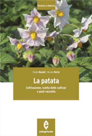 Immagine copertina La patata