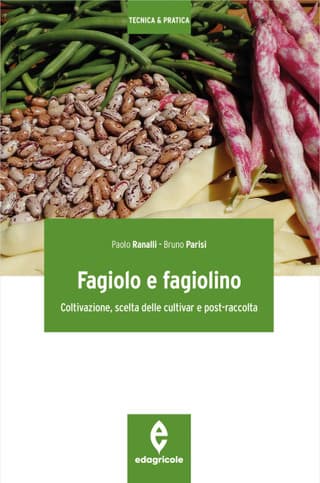 Immagine copertina Fagiolo e fagiolino