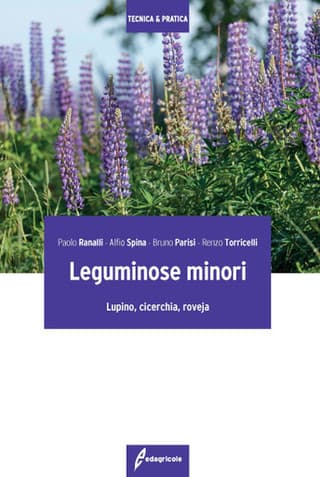 Immagine copertina Leguminose minori