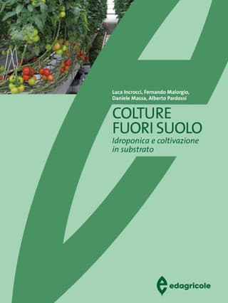 Immagine copertina Colture fuori suolo