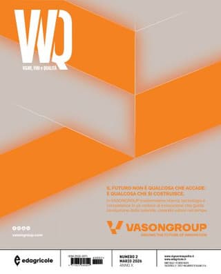 Immagine copertina VVQ vigne, vini e qualità