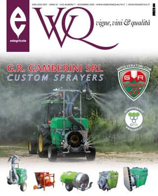 Immagine copertina VVQ vigne, vini & qualità