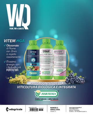 Immagine copertina VVQ vigne, vini e qualità