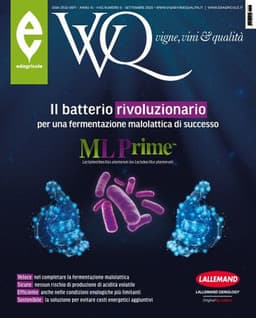 VVQ vigne, vini & qualità