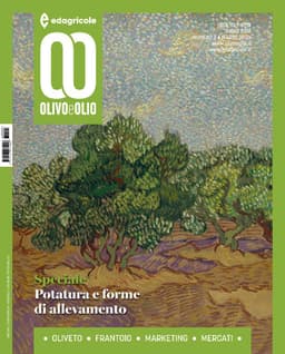 Olivo e Olio