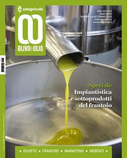 Olivo e Olio