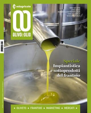 Immagine copertina Olivo e Olio