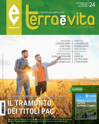 Immagine copertina Terra e Vita