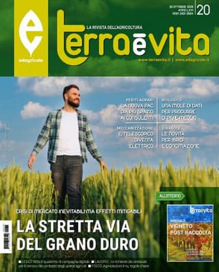 Immagine copertina Terra e Vita