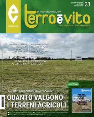 Immagine copertina Terra e Vita