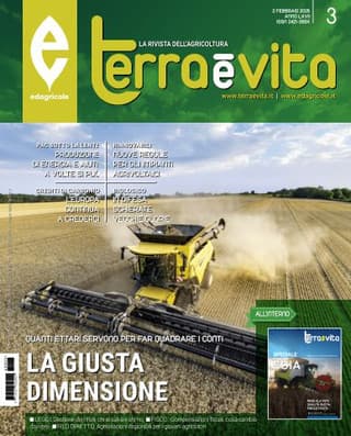 Immagine copertina Terra e Vita