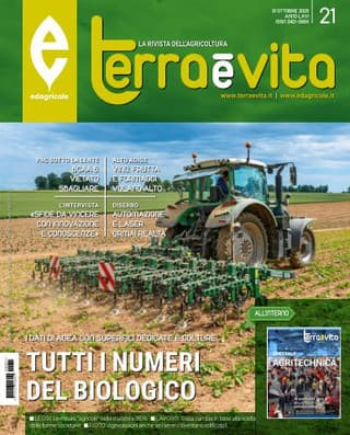 Immagine copertina Terra e Vita